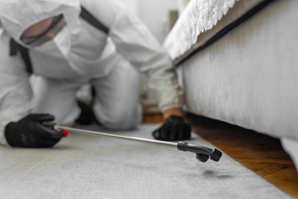 Professional Cockroach Control technician working in Harbor Bluffs, FL