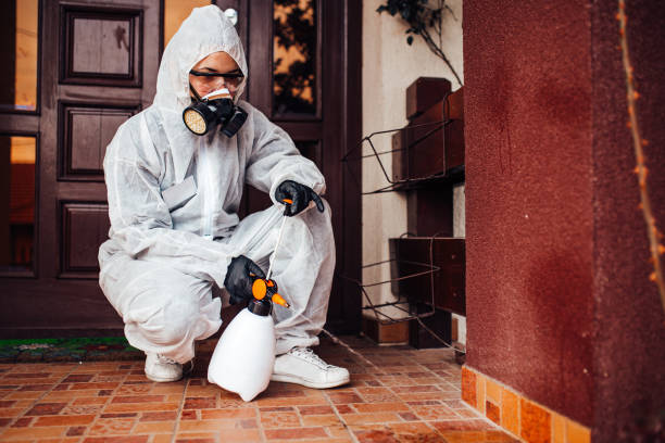 Reliable Cockroach Control contractor in Harbor Bluffs, FL by Nex Pest Control