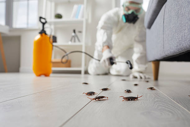 Affordable Cockroach Control solutions in Harbor Bluffs, FL